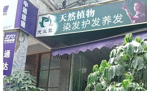 天竺草植物养发馆